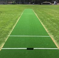 Image result for Cricket Pitch Picture