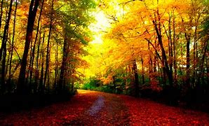 Image result for Wallpapers for Desktop Fall Theme