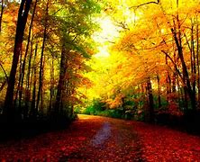 Image result for fall desktop