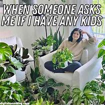 Image result for Indoor Plant Meme