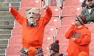 Image result for Browns Fans Bags