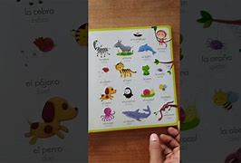 Image result for My First Spanish Word Book