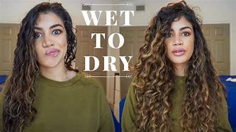 Image result for Dry 2C Hair