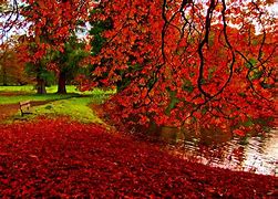 Image result for Beautiful Fall Sceneries