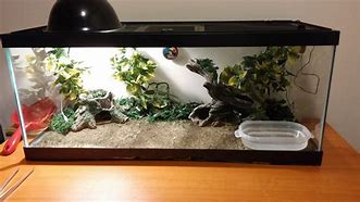 Image result for Reptile Tank Dome