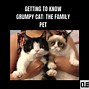 Image result for Grumpy Cat and Pokey Memes