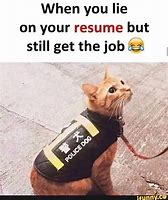 Image result for Cat Resume Meme