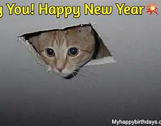 Image result for Happy New Year Meme Explosion