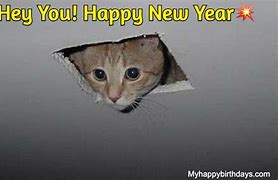 Image result for Happy New Year Meme for FB Friends
