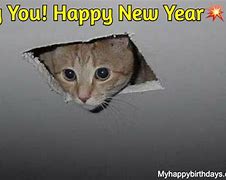 Image result for Happy New Year Funny LOL
