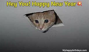 Image result for Have a Happy New Year Meme