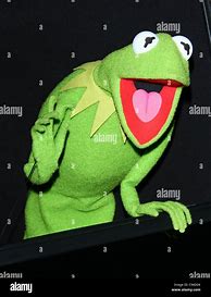 Image result for Kermit Puppet Stock-Photo