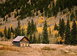 Image result for Mountain Cabin