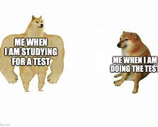 Image result for Studying Doge Meme