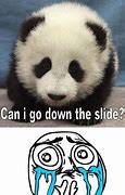 Image result for Panda Bear Funny Meme