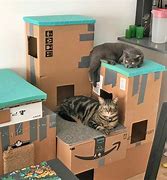 Image result for Build a Cat
