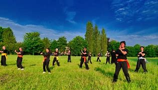 Image result for Wing Chun Kung Fu