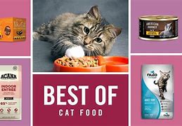 Image result for World's Best Cat Food