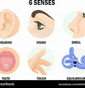 Image result for Holding Body Senses