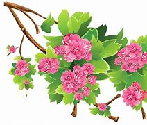 Image result for Flowering Branch Clip Art