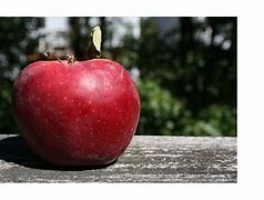 Image result for Jonathan Apples