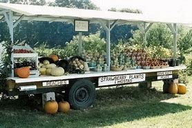 Image result for Farmers Market Display Stands