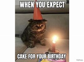 Image result for Sad Cat Birthday Cake Meme