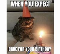 Image result for Sad Cat Cake Meme