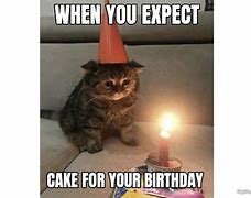 Image result for Sad Birthday Cat Meme