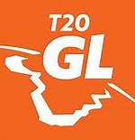 Image result for T20 Cricket League Logo