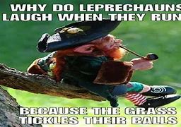 Image result for Funny Leprechaun Memes