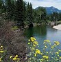 Image result for Chadduck Missoula Montana