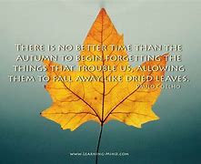Image result for Fall Teacher Quotes