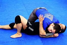 Image result for Fight Ready Position