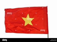 Image result for Official Flag of Vietnam