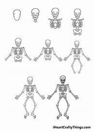 Image result for Skeleton Draw