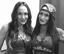 Image result for Maryse and Nikki Bella