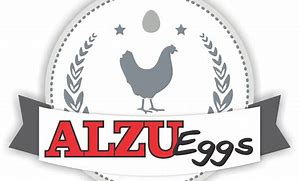 Image result for Alzu Retail Logo