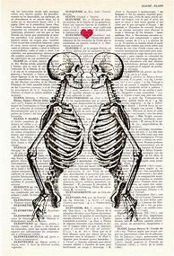 Image result for Skeleton Love Drawing