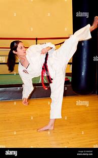 Image result for Stock Woman Karate Martial Arts