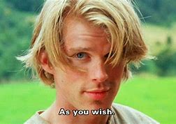 Image result for As You Wish Meme