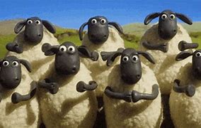 Image result for Big Sheep Eyes Meme