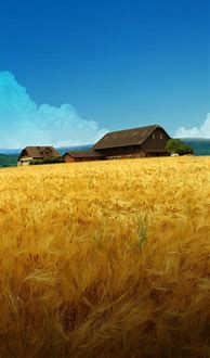 Image result for Farm iPhone Wallpaper