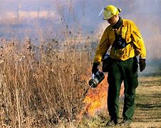 Image result for Wildland Fire Fighting Tools