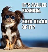 Image result for Dog Using iPhone Meme