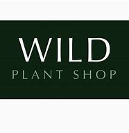 Image result for Wild Card Extracts Cannabis Logo