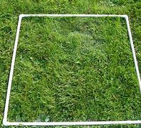 Image result for What Is 1 Square Meter