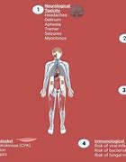 Image result for Acute Toxicity