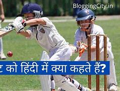 Image result for Cricket Game Image and Information in Hindi