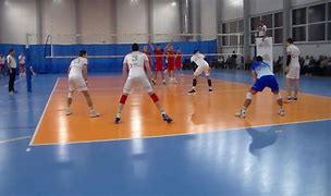 Image result for ts_volley_rybnik